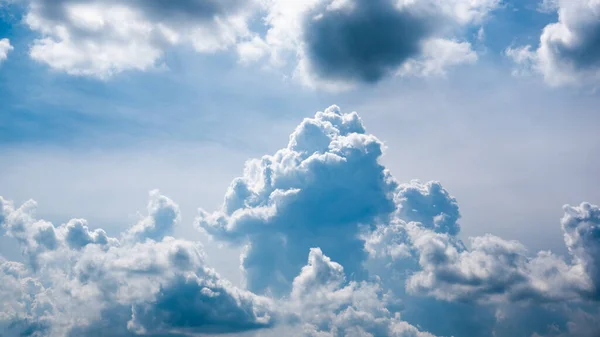 Cumulus cloud closeup — Stockfoto