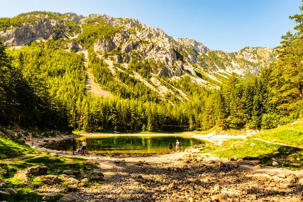 Gruner See Austria 2019 Panorama View Famous Green Lake Austria — Stockfoto
