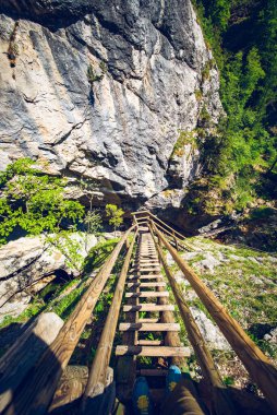 Dağ deresi boyunca şelale yolunu izle. Turistik bir yer. Styria Avusturya 'da seyahat hedefi