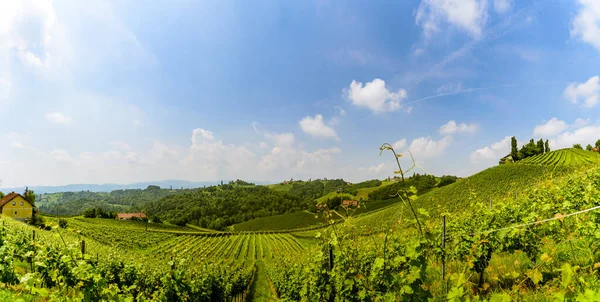 Austria Winnice Sulztal Weinstrasse Południe Styria Turystycznym Miejscu Wino Miejsca — Zdjęcie stockowe