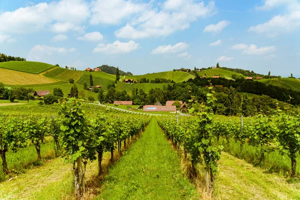 Austria Viñedos Sulztal Weinstrasse Sur Estiria Lugar Turístico País Del — Foto de Stock