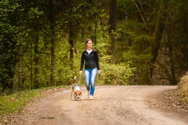 Genç bir kadın ormanda tasmalı bir av köpeğiyle yürüyor. Doğadaki boşluğu kopyala