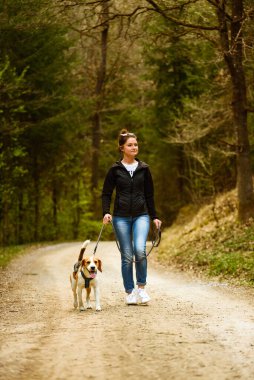 Genç bir kadın ormanda tasmalı bir av köpeğiyle yürüyor. Doğadaki boşluğu kopyala