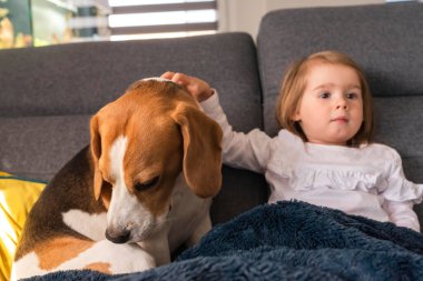 2 yaşındaki parlak kızla kanepede oturan av köpeği. Aile kavramında çocuklu bir köpek.
