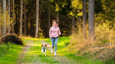 Genç bir kadın ve köpek ormanda birlikte koşuyorlar. Neşeli dişi, evcil hayvanıyla dışarıda egzersiz yapıyor. Etkin insanlar konsepti.