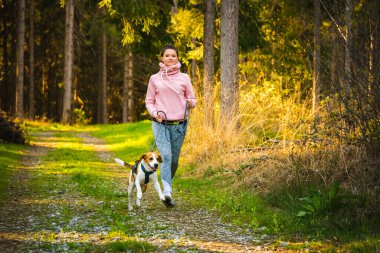 Genç bir kadın ve köpek ormanda birlikte koşuyorlar. Neşeli dişi, evcil hayvanıyla dışarıda egzersiz yapıyor. Etkin insanlar konsepti.