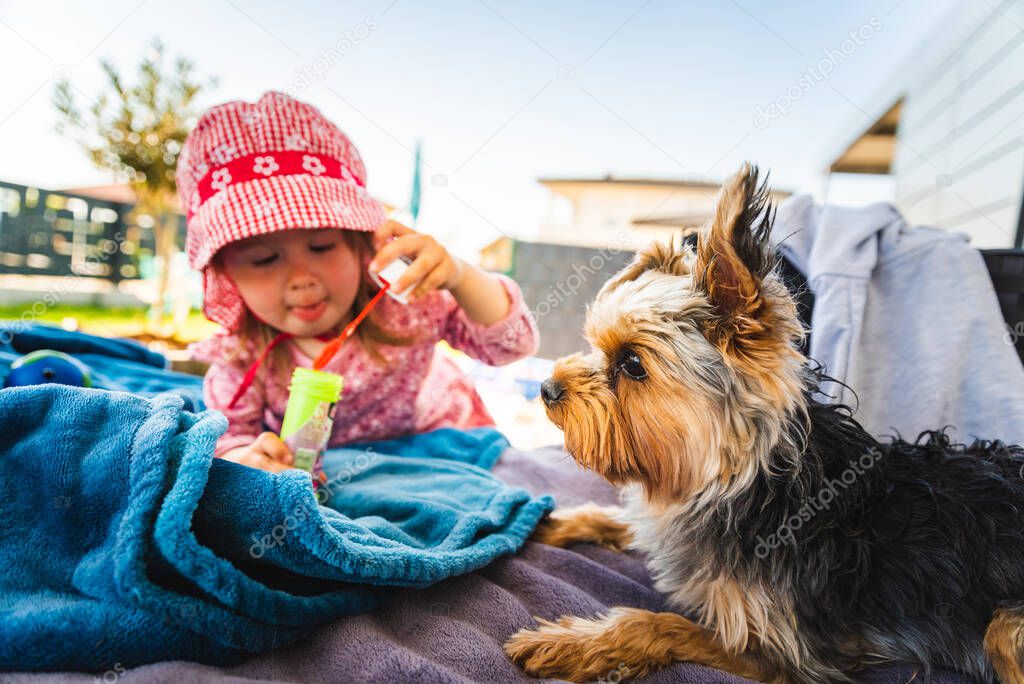 Portrait of a beautiful little 2 years old girl in red hat with yorkshire terrier dog on sofa in backyard. Pets with kids concept.
