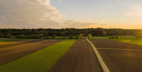 Gepflügtes Feld Ländlichen Raum Landschaft Der Landwirtschaftlichen Felder Luftaufnahme — Stockfoto