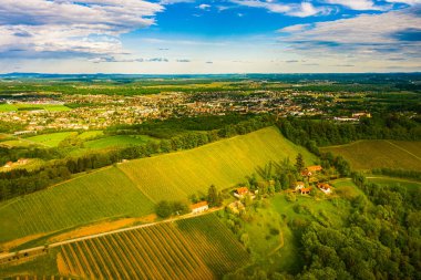 Avusturya üzüm bağları manzarası. Güney Styria 'da Leibnitz bölgesi, şarap bölgesi. Toskana gibi bir yer ve ünlü bir turistik yer.