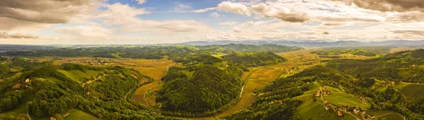 Luftaufnahme Von Grünen Hügeln Und Weinbergen Mit Bergen Hintergrund Österreichs — Stockfoto