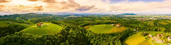 Áustria Vinhedos Paisagem Leibnitz Área Sul Estíria Região Vinícola Ponto — Fotografia de Stock