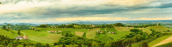 Weinberg Panorama Steinbach Bezirk Leibnitz Bekanntes Ziel Weinstraßengebiet Südsteiermark Weinland — Stockfoto