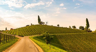 South styria vineyards landscape, near Gamlitz, Austria, Europe. Grape hills view from wine road in spring. clipart
