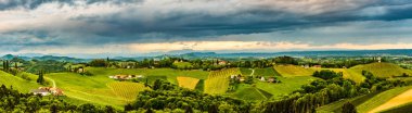 Panorama of vineyards hills in south Styria, Austria. Tuscany like place to visit. Landscape during spring sunset. clipart