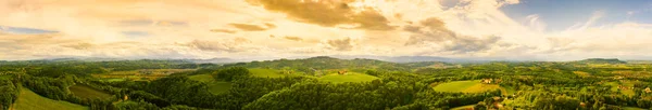 Áustria Vinhedos Paisagem Leibnitz Área Sul Estíria Região Vinícola Toscana — Fotografia de Stock