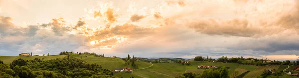 Panorama Viñedos Colinas Sur Estiria Austria Toscana Como Lugar Para — Foto de Stock