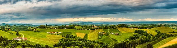 Panorama Der Weinberge Der Südsteiermark Österreich Toskana Wie Ort Besuchen — Stockfoto