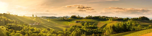 Панорама Виноградників Пагорбів Півдні Штирії Австрія Тоскані Подобається Місце Відвідин — стокове фото
