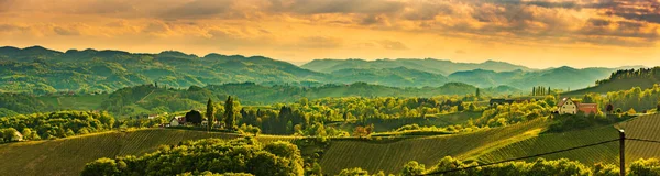 Panorama Der Südsteirischen Weinlandschaft Nahe Der Grenze Zwischen Österreich Und — Stockfoto