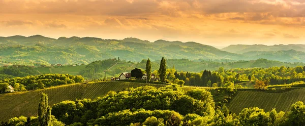 Panorama Der Südsteirischen Weinlandschaft Nahe Der Grenze Zwischen Österreich Und — Stockfoto