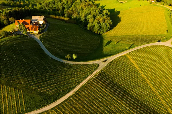 Jižní Styria Vinice Letecké Panorama Krajiny Blízkosti Gamlitz Rakousko Eckberg — Stock fotografie