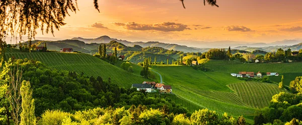 Panorama Der Weinberge Der Südsteiermark Österreich Toskana Wie Ort Besuchen — Stockfoto