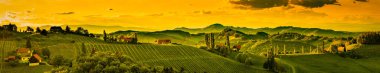 Panorama of vineyards hills in south Styria, Austria. Tuscany like place to visit. Landscape during spring sunset. clipart