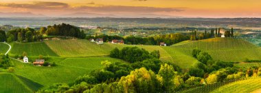 Güney Styria üzüm bağları panorama, Gamlitz, Avusturya, Avrupa yakınlarında. Baharda üzüm tepelerinin şarap yolu manzarası.