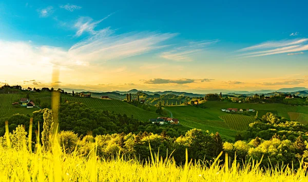 Paisagem Vinhas Styria Sul Perto Gamlitz Áustria Europa Vista Das — Fotografia de Stock