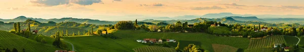 Panorama Der Weinberge Der Südsteiermark Österreich Toskana Wie Ort Besuchen — Stockfoto