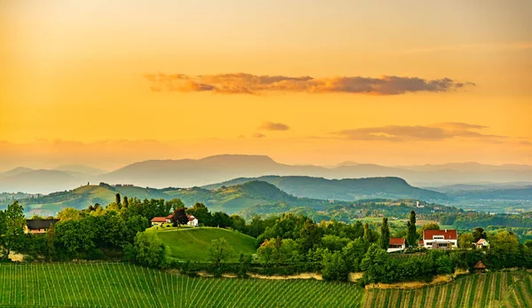 Sud Stiria Vigneti Paesaggio Vicino Gamlitz Austria Europa Uva Colline — Foto Stock