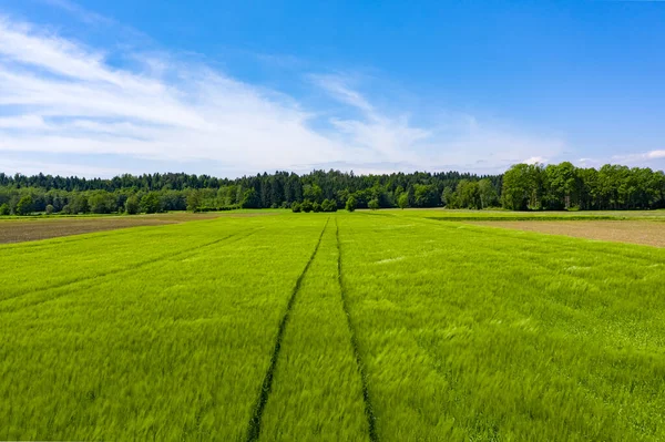Grüne Wiese Ländlichen Raum Landschaft Von Landwirtschaftlichen Getreidefeldern Luftaufnahme — Stockfoto