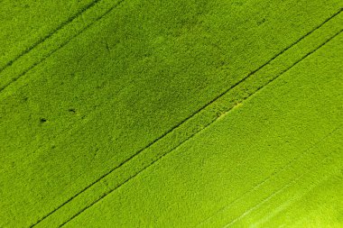 Kırsal alanda yeşil alan. Tarımsal tahıl tarlalarının manzarası. Hava görünümü