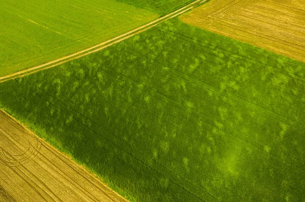 Campo Verde Área Rural Paisaje Campos Cereales Agrícolas Vista Aérea —  Fotos de Stock