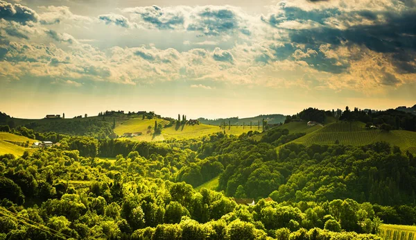 South Styria Vinhedos Paisagem Lugar Perto Gamlitz Áustria Eckberg Europa — Fotografia de Stock