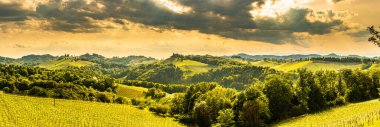 Güney Styria üzüm bağları panorama manzarası, Gamlitz, Avusturya, Eckberg, Avrupa yakınlarında. Baharda üzüm tepelerinin şarap yolu manzarası. Turist beldesi, seyahat yeri.