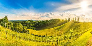 Avusturya Bağlar Sulztal weinstrasse güney Styria turistik nokta, şarap ülke yerler görmek