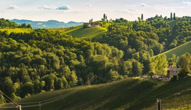 Avusturya Bağlar Sulztal weinstrasse güney Styria turistik nokta, şarap ülke yerler görmek