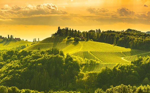 Zuid Stiermarken Wijngaarden Landschap Plaats Buurt Gamlitz Oostenrijk Eckberg Europa — Stockfoto