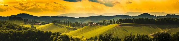 South Styria Vinhedos Panorama Paisagem Lugar Perto Gamlitz Áustria Eckberg — Fotografia de Stock