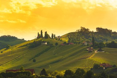 Güney Styria üzüm bağlarının üzerinde güzel bir günbatımı. Beyaz şarapları için ünlü bir yer. Üzüm bağı temalı arkaplan