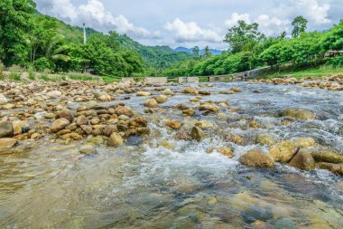 Tayland Nakornsrithammarat keereewong köyünde