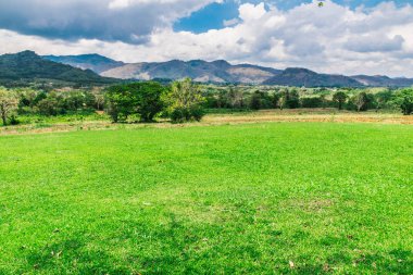 Manzara çayır dağlar 