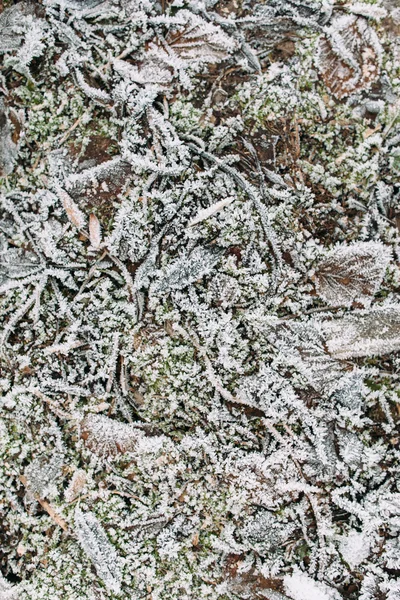 Textura de jardim chão no início do inverno — Fotografia de Stock