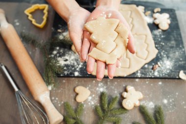 Ev yapımı ekmek yapma gingerbread çerezleri