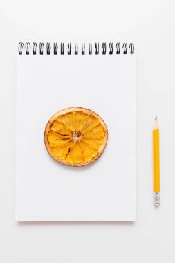 Kurutulmuş limon Sketchbook ve kalem çizim