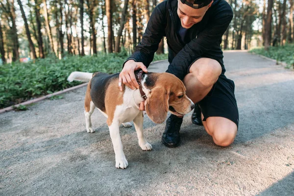 Fitness homme en tenue de sport avec son chien en forêt . — Photo