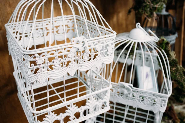 Hermosas jaulas decorativas para pájaros de cerca — Foto de Stock