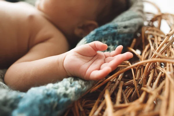 巣に小さな新生児の子供の手のクローズ アップ — ストック写真
