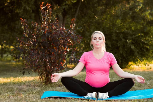 Donna incinta meditare all'aperto, paesaggio naturale — Foto Stock